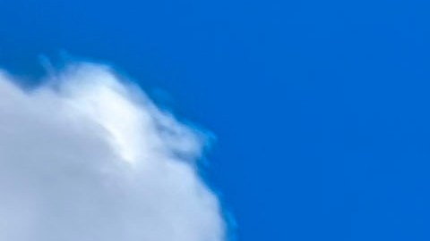 Walmart anuncia la eliminación de aditivos dañinos de sus productos