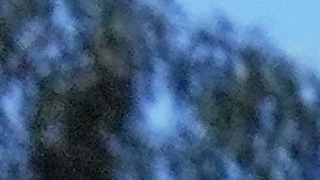 A protester is seen as a Waymo taxi burns near the metropolitan detention center of downtown Los Angeles, Sunday, June 8, 2025, following last night's immigration raid protest. (AP Photo/Jae C. Hong)