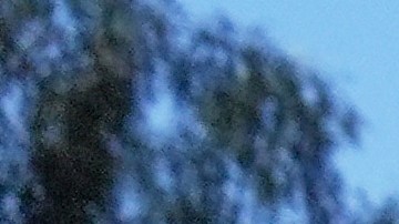 A protester is seen as a Waymo taxi burns near the metropolitan detention center of downtown Los Angeles, Sunday, June 8, 2025, following last night's immigration raid protest. (AP Photo/Jae C. Hong)