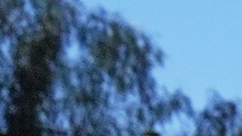 A protester is seen as a Waymo taxi burns near the metropolitan detention center of downtown Los Angeles, Sunday, June 8, 2025, following last night's immigration raid protest. (AP Photo/Jae C. Hong)