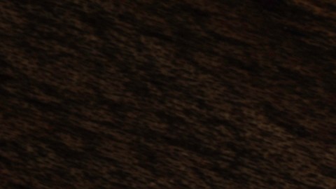 Mega Millions, trucos para ganar