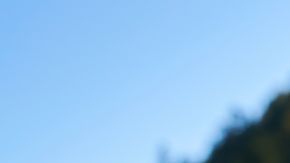 Modelo 2026 Volkswagen Tiguan