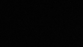 Moneda de $1 dólar de Donald Trump