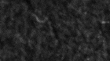 Moneda de 25 centavos de Massachusetts