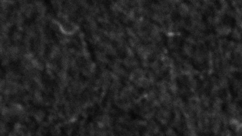 Moneda de 25 centavos de Massachusetts