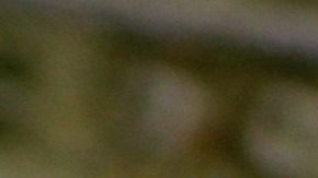 Moneda de 25 centavos