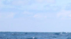 Los narcosubmarinos son usados para transportar drogas porque que pueden pasar prácticamente desapercibidos.