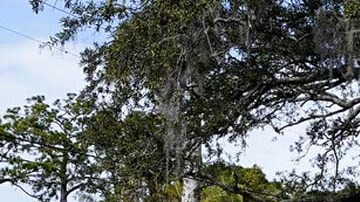 Instalaciones del New College of Florida