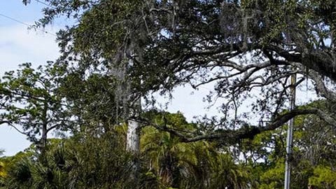 Instalaciones del New College of Florida