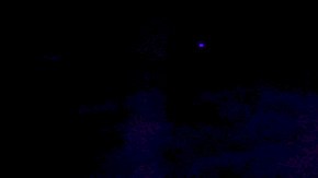 Niurka Marcos Cazzu Nodal