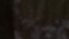 Niurka Marcos Ninel Conde