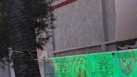 El "jardín Cósmico" de Dina Fisher. / Gabriel Lerner