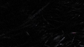 El Pentágono recibió una donación que ayudará a pagar salarios de soldados en servicio activo.