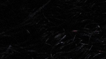 El Pentágono recibió una donación que ayudará a pagar salarios de soldados en servicio activo.