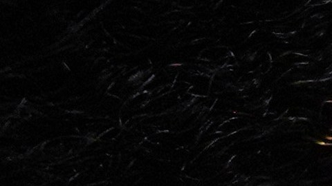 El Pentágono recibió una donación que ayudará a pagar salarios de soldados en servicio activo.