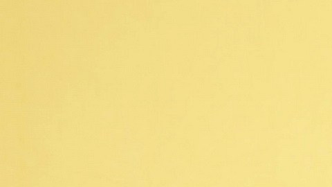 Pepillo Origel Silvia Pinal