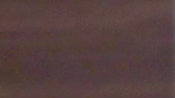 Isaac 'Pitbull' Cruz