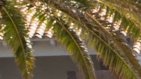Prime Video presenta a las estrellas de sus próximos estrenos.