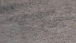 Probamos el 2026 Volkswagen Tiguan y nos sorprendió