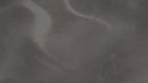 Probamos el gran Toyota RAV4 Woodland 2026