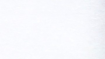 Procter & Gamble disminuye su presencia en el mercado paquistaní