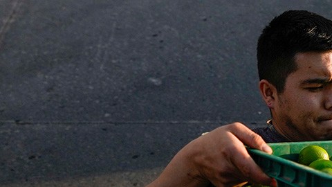 Productores de limón