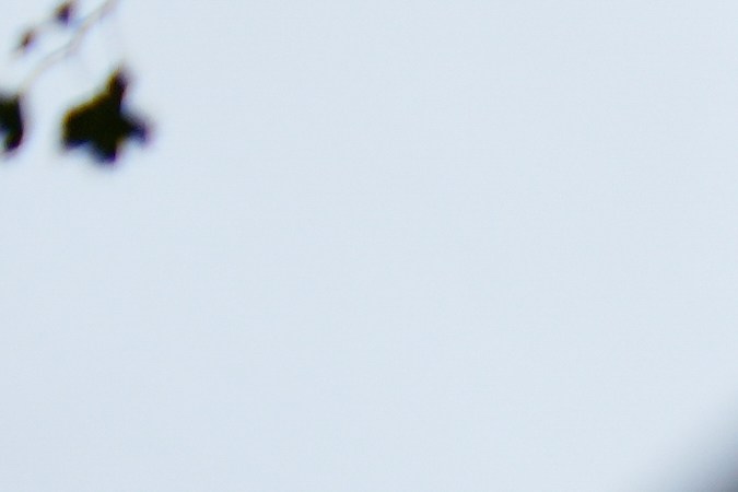 Los disfraces brindan protección contra gases y otras toxinas utilizadas por los agentes federales, dicen los manifestantes.