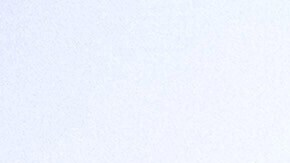 Un oficial de CBP intenta dispersar a manifestantes que bloquean el paso a Base de la Guardia Costera Alameda, en Oakland.