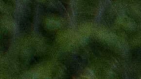 People hold signs reading, "NO KINGS," during a protest taking place on the day of a military parade commemorating the Army's 250th anniversary, coinciding with President Donald Trump's 79th birthday, Saturday, June 14, 2025, in Washington. (AP Photo/Rod Lamkey, Jr.)