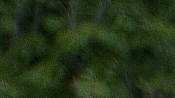 People hold signs reading, "NO KINGS," during a protest taking place on the day of a military parade commemorating the Army's 250th anniversary, coinciding with President Donald Trump's 79th birthday, Saturday, June 14, 2025, in Washington. (AP Photo/Rod Lamkey, Jr.)