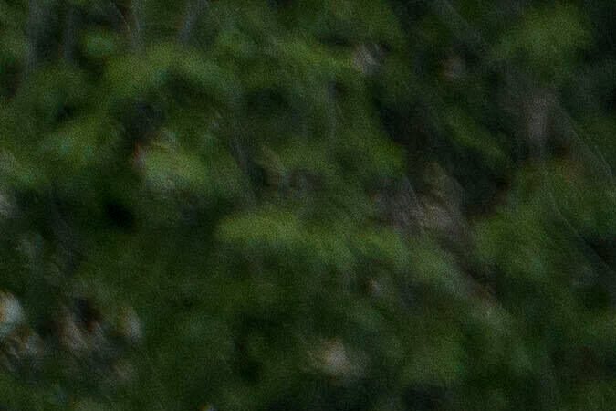 People hold signs reading, "NO KINGS," during a protest taking place on the day of a military parade commemorating the Army's 250th anniversary, coinciding with President Donald Trump's 79th birthday, Saturday, June 14, 2025, in Washington. (AP Photo/Rod Lamkey, Jr.)