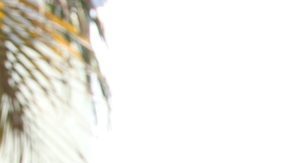 Publicación: Oct. 06 2025 Fotógrafo: Archivo/ Ismael Ramírez Lugar: ZAPOPAN, Jalisco Formato: 1500 x 1000 JPG Documento: 569.0 KB Folio: 2698252