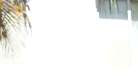 Publicación: Oct. 06 2025 Fotógrafo: Archivo/ Ismael Ramírez Lugar: ZAPOPAN, Jalisco Formato: 1500 x 1000 JPG Documento: 569.0 KB Folio: 2698252