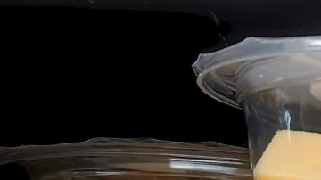 Virus de la gripe aviar puede sobrevivir durante meses en algunos quesos