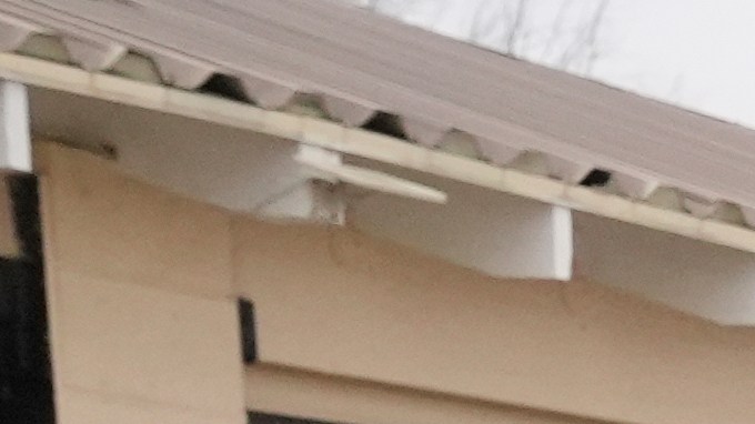 A woman is detained by U.S. Border Patrol agents outside a Home Depot Friday, Aug. 15, 2025, in Los Angeles. (AP Photo/Gregory Bull)