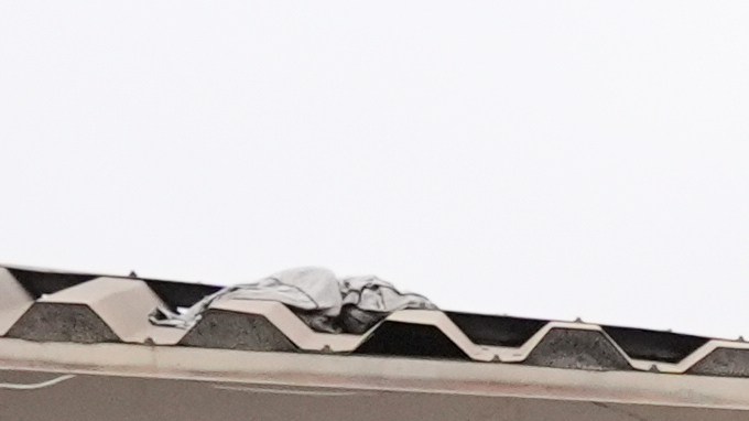 A woman is detained by U.S. Border Patrol agents outside a Home Depot Friday, Aug. 15, 2025, in Los Angeles. (AP Photo/Gregory Bull)