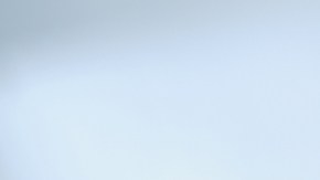 Más parecidos a los animales de lo que creemos, pero somos más violentos