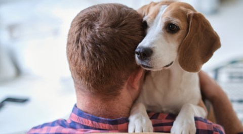 Más parecidos a los animales de lo que creemos, pero somos más violentos