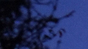 Solar lights remain on outside a home destroyed by the Eaton Fire, Tuesday, Jan. 14, 2025, in Altadena, Calif. (AP Photo/Jae C. Hong)