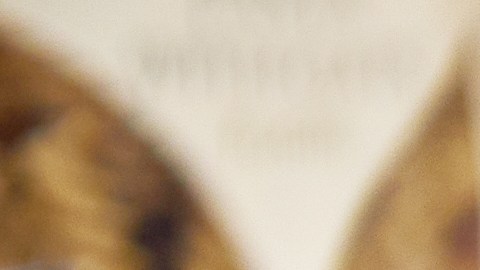 Retiran del mercado pasta por brote mortal de listeria