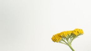 Configurar rutinas en Alexa puede ayudar a adaptarte con mayor facilidad al cambio horario