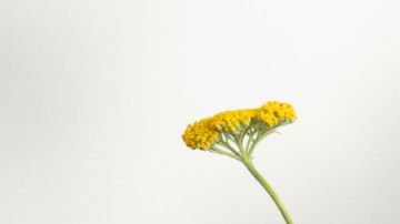 Configurar rutinas en Alexa puede ayudar a adaptarte con mayor facilidad al cambio horario