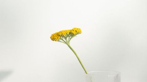 Configurar rutinas en Alexa puede ayudar a adaptarte con mayor facilidad al cambio horario