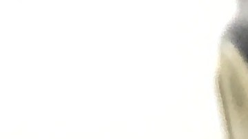 ¿Cuándo se reciben los beneficios de SNAP en Florida?