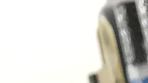 ¿Cuándo se reciben los beneficios de SNAP en Florida?