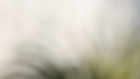 SELECCIONAR Publicación: Oct. 06 2025 Fotógrafo: Cortesía Federación Mexicana de Futbol Lugar: VALPARAISO, Chile Formato: 1500 x 1000 JPG Documento: 452.0 KB Folio: 2698498