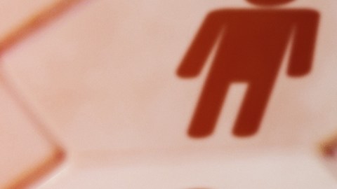 Sectores de la economía que continúan generando empleo en medio de la crisis laboral
