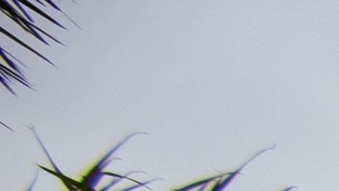 Seguro Social y el cierre de gobierno