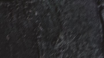 Seguro médico es muy caro para las familias tradicionales