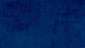 Panteón Rococó retomará su gira luego de que el Dr. Shenka fuera sometido a una cirugía del corazón. Foto: Cortesía